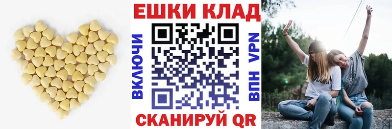 Купить закладки  Весьегонск  Ecstasy диски 